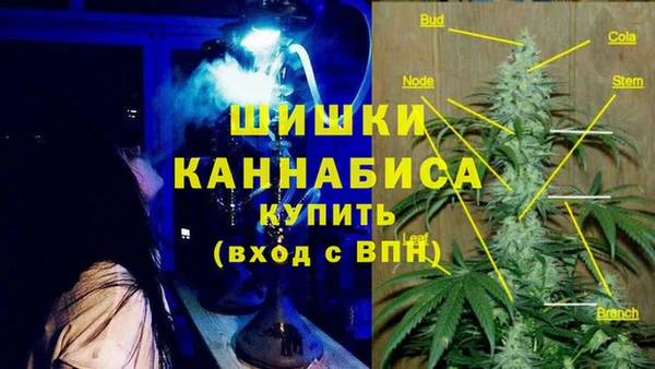 PSILOCYBIN Баксан
