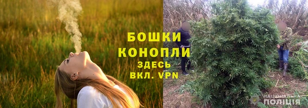 PSILOCYBIN Баксан