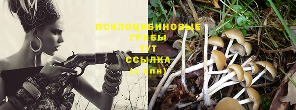 спайс Балабаново